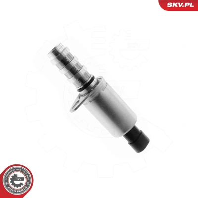 Image de Valve de commande, réglage d&#039;arbres à came ESEN SKV 39SKV081