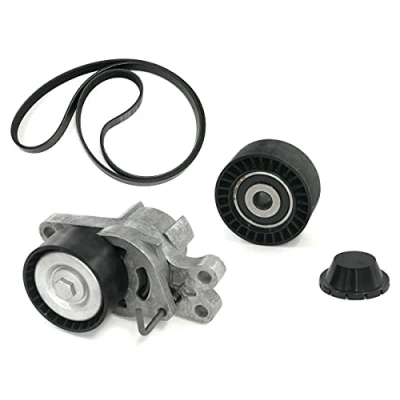 Image de INA 529 0109 10 Jeu de courroies trapézoïdales à nervures Contrôler et changer roue libre alternateur si nécessaire PEUGEOT: 206 3/5 portes