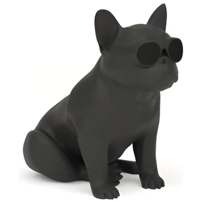 Image de AeroBull XS1 Enceinte sans fil Bluetooth Noir mat Neuf