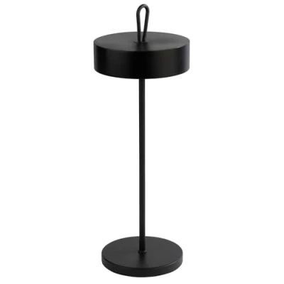 Image de APS 17005 &quot;CLEO Lampe de table sans fil USB C avec température et luminosité réglables, protection contre les éclaboussures IP 54, station d&#039;accueil télécommande