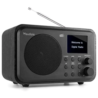 Image de Audizio Milan Radio Dab+ avec Batterie et Technologie sans Fil Bluetooth, Écran Couleur 2,4, Fonction Horloge Veille, Charge USB, Sortie Ligne Casque 3,5mm, Bois foncé