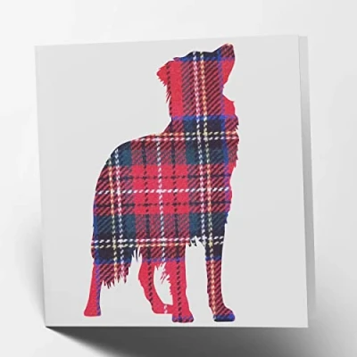 Image de Maturi Border Collie Tartan Carte de vœux Intérieur vierge, carrée 15,5 x cm