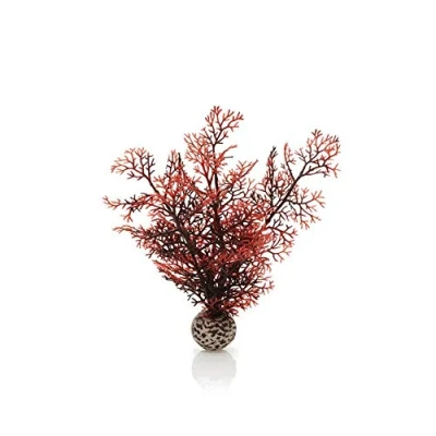 Image de biOrb Corail corné S rouge foncé