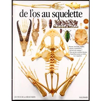 Image de De l&#039;os au squelette Livre d’occasion Bon