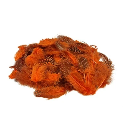 Image de Netuno 150 plumes décoratives oranges 6g duveteuses d&#039;oiseaux naturelles pour loisirs créatifs DIY bricolage décoration de fêtes attrape rêves fabrication masques