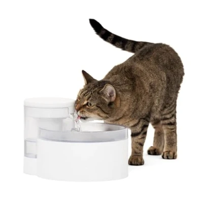 Image de Fontaine à Eau PetSafe Outlast sans Pompe, 1,7 L, pour Petits Chiens et Chats, Passe au Lave Vaisselle, Assemblage Nettoyage faciles, Filtre Inclus