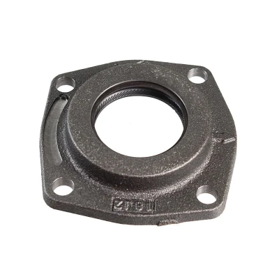 Image de Flasque, différentiel METZGER 7210048