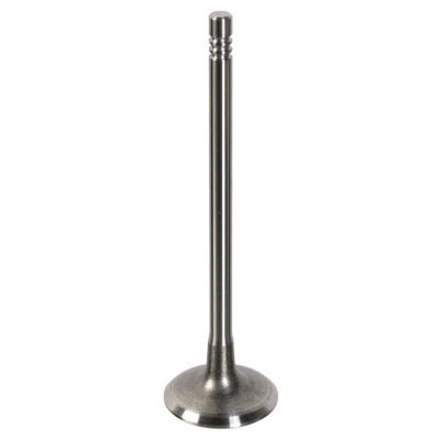 Image de FEBI BILSTEIN 181647 Soupape d&#039;Admission 28,3 PEUGEOT: 206 SW, 3/5 portes, 207 CITROËN: C3 I C2 portes