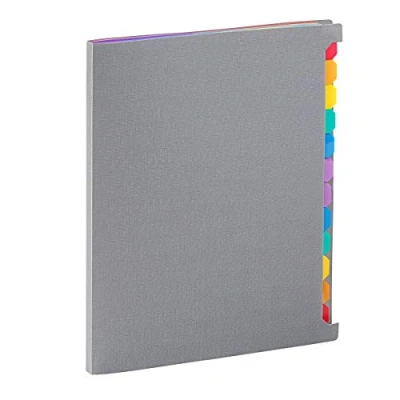 Image de Viquel Trieur A4 12 Compartiments Rainbow Touch 25 x 31 2 cm Gris