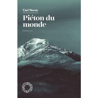 Image de Piéton du monde Livre d’occasion Correct
