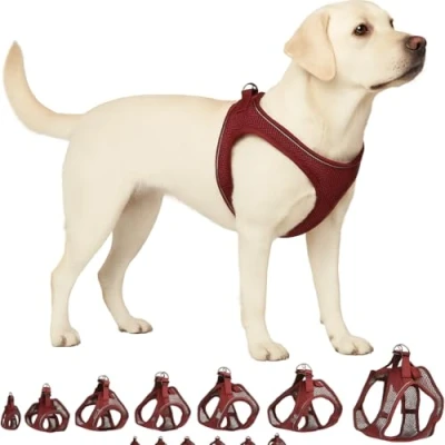 Image de Flamingo Harnais pour Chien Step&amp;Go Bento Aubergine XL A:40 43cm B:49 54cm x 3mm Réglable avec Bandes Réfléchissantes Idéal Shiba Inu, Cocker Spaniel, Sheltie &amp; Beagle