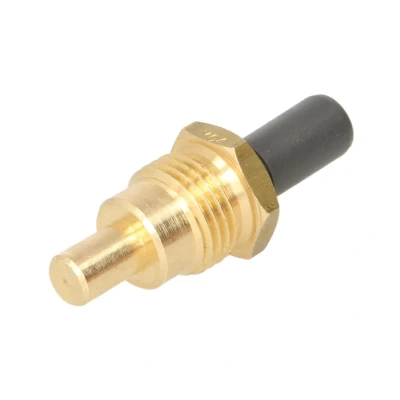 Image de Capteur de température du liquide refroidissement FAE 32640