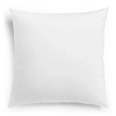 Image de sleepling 197139 Oreiller en Plumes 100% Coton Coussin pour canapé Lavable à 60 C Certifié Ökotex 100 et Downpass Fabriqué UE 80 x cm, Blanc