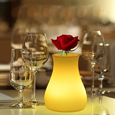 Image de ACMHNC Lampe Vase LED de Table Rechargeable, Sans Fil Dimmable avec Télécommande, Chevet à Piles, éclairé, Pour Salon Décor