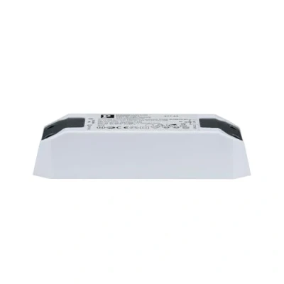 Image de Paulmann 97762 Transformateur électronique Halo+LED 0 50W 230/12V 50VA, Blanc, 1 Unité (Lot de 1)