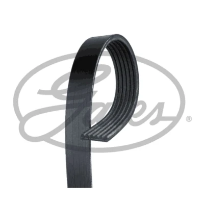 Image de GATES 6PK2430HD Courroie Poly V 2430 6 Polyester, EPDM (éthylène propylène diène caoutchouc)