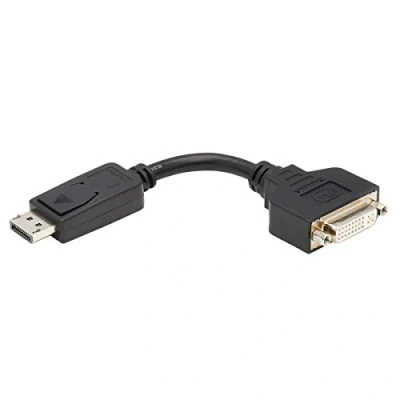 Image de Tripp Lite 6in DisplayPort to DVI Adapter Video Converter DP M I F 6&quot; Carte d&#039;écran (M) pour (F) 15 cm…