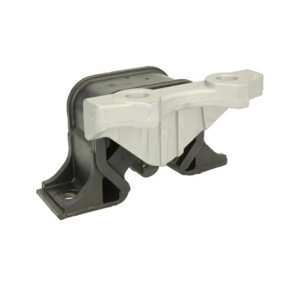 Image de REINHOCH RH11 5061 Support moteur droit OPEL: Meriva A, Corsa C 3/5 portes, Combo Tour