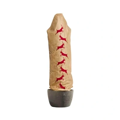 Image de Windhager Housse de Protection en Non tissé pour l&#039;hiver Beige Taille L 0,6 x 1,8 m