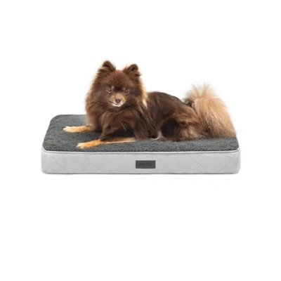 Image de lionto Lit orthopédique, 60 x 40 8 cm, robuste, avec peluche douce, housse amovible et lavable, imperméable, convient aux petits grands chiens chats, gris