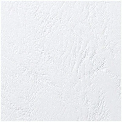 Image de GBC Couverture de reliure Blanc Lot 100, CE040070