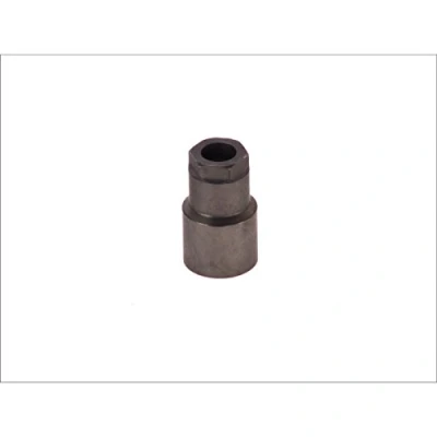 Image de Composants du CRInjecteur BOSCH F 00R J02 219