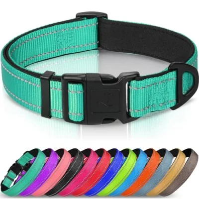 Image de Joytale Collier pour Chien en Nylon avec Bande Réfléchissante,Collier Rembourré Classique Moyenne Chien,Turquoise,M