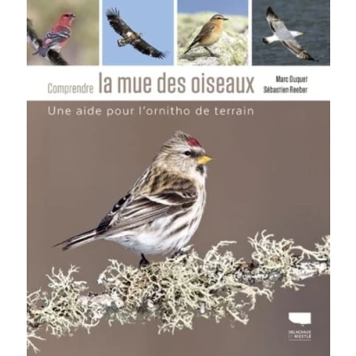 Image de Comprendre la mue des oiseaux: Une aide pour l&#039;ornitho de terrain