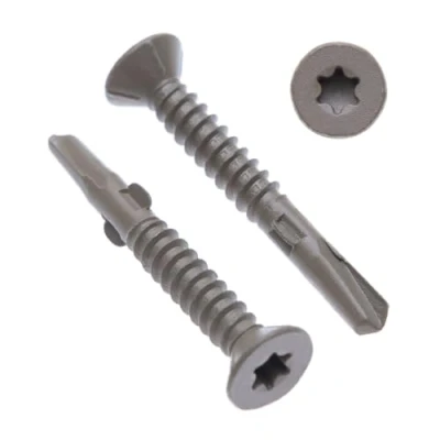 Image de Vis à Métal 6.3mm Autotaraudeuses Torx Tête Plate Autoperceuse (lot de 100) Utilisation Extérieure Avec Protection Anti corrosion C4 pour Tôles/Toitures/Fenêtres Fixation DIN7504 P (6.3mm x 90mm)
