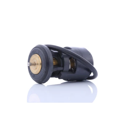 Image de Thermostat d&#039;eau AUTOMEGA 160044810