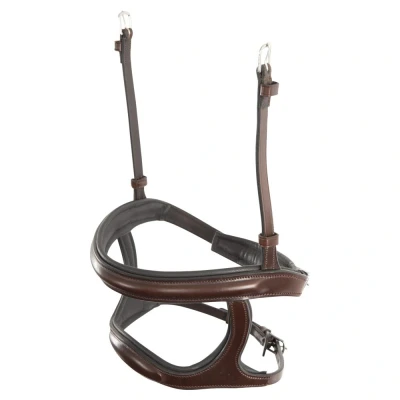 Image de BR Muserolle combinée double Cob Oak / Zilver