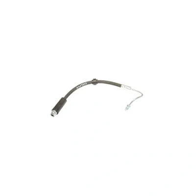Image de DELPHI LH6514 Flexible De Frein 321mm M10x1 Int SF RENAULT: Kangoo I, I Express