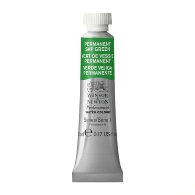 Image de Winsor &amp; Newton Aquarelle Professionnel Peinture Aquarelle, Haute Luminosité, Résistante à la Lumière, Qualité Archive, Tube de 5 ML, Couleur Vert Vessie Permanent