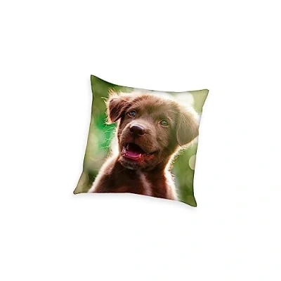 Image de Herding Coussin Décoratif, Young Collection Chiot, 40 x cm, Polyester