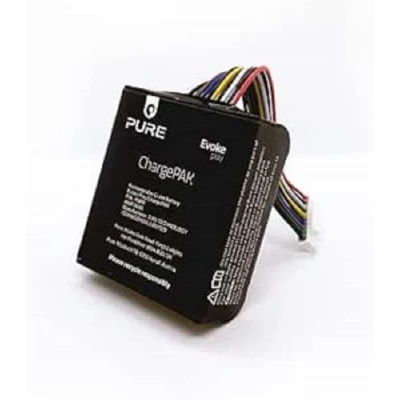 Image de Pure Evoke Play ChargePAK transforme Le système de Musique en Un Compagnon Ultime et Polyvalent pour la Maison, 12 Heures d&#039;autonomie Batterie, Plaisir Mobile Noir