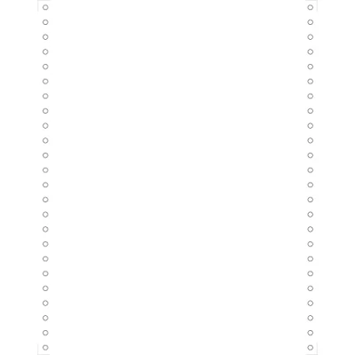 Image de Exacompta Réf. 65421E 2000 feuilles de listing Blanc 240x12&quot;&quot; 1pli Bandes Caroll Détachables 70g&quot;