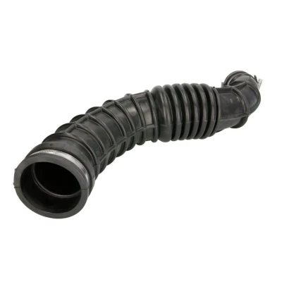 Image de Tuyau d&#039;aspiration, filtre à air THERMOTEC DCR191TT