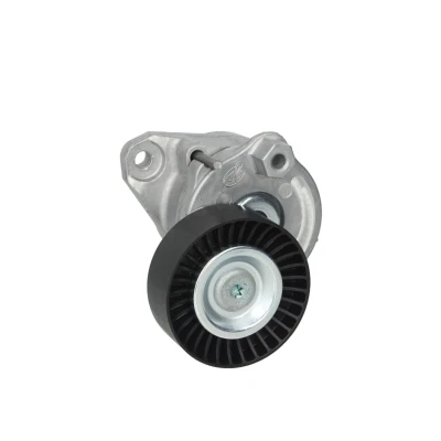 Image de SNR GA351.23 Poulie Tendeur MERCEDES BENZ: Classe C Berline, ML, Sprinter 3.5 T Van