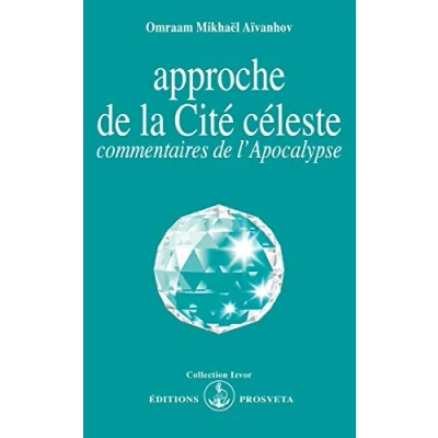 Image de Approche de la cité céleste Livre d’occasion Correct