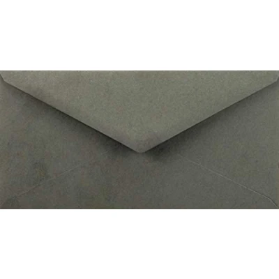 Image de Netuno 100 enveloppes longues grises DL 110x220mm 115g Sirio Color Pietra colorées décoratives élégantes pour lettres invitations mariage Noël cartes de voeux documents