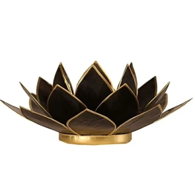 Image de Find Something Different Lumière lotus noire photophore
