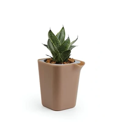 Image de QUALY Oasis QL10305 BN GY Pot de Fleurs carré avec système d&#039;auto arrosage Marron Taille S
