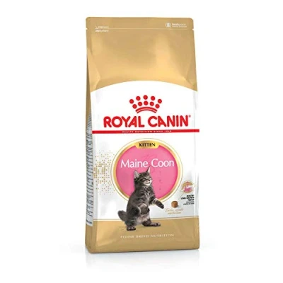 Image de Royal Canin Maine Coon Kitten Pack de 4 x 400 g Croquettes pour Chats Spécialement conçu Les Chatons Soutenir la Digestion et Le système immunitaire