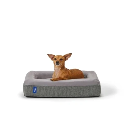 Image de Casper Panier pour Chien en Mousse à mémoire de Forme Gris Taille L