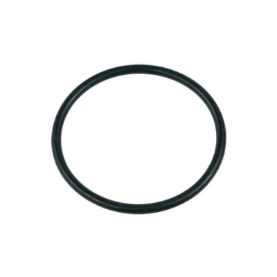 Image de O Ring für Laing D5/Alphacool VPP655/Swiftech MCP655