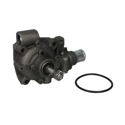 Image de DOLZ B114 Pompe à eau IVECO: DAILY 2 Pritsche/Fahrgestell, Kasten/Kombi