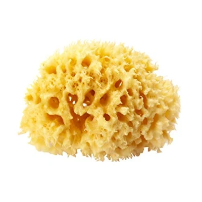 Image de OKBABY Arcipelago Eponge Naturelle de la Mediterranée pour le Bain du Nouveau né Taille 12