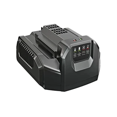 Image de Ego 56 Volt Chargeur Modèle # CH2100, charge tous Power + piles, emballage en vrac