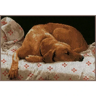 Image de Kit au point compté Chien dormant