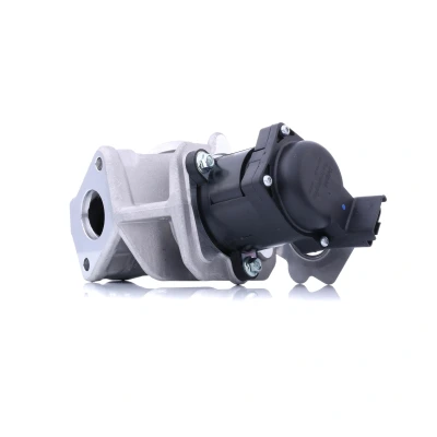 Image de DELPHI EG10415 12B1 Vanne EGR avec joints PEUGEOT: 107 3/5 portes, 207 Bipper Van, CITROËN: C3 I Nemo C2 portes